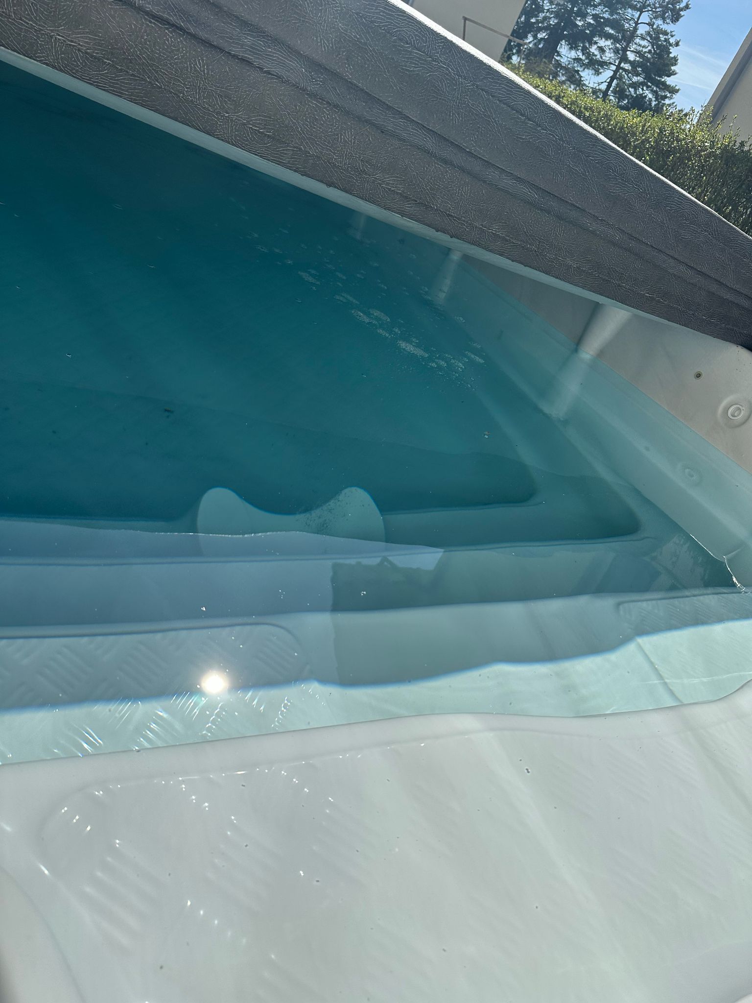 GRATIS abzugeben: Swim Spa Phoenix (ca. 8 Jahre alt)